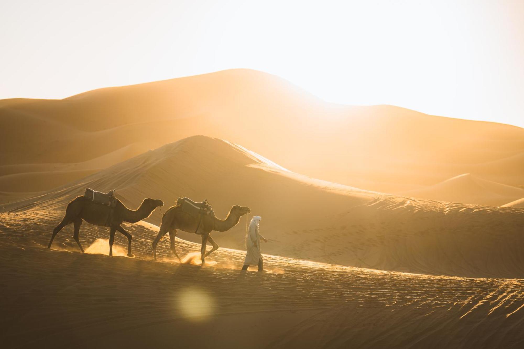 Hotel Royal Luxury Camp à Merzouga Extérieur photo
