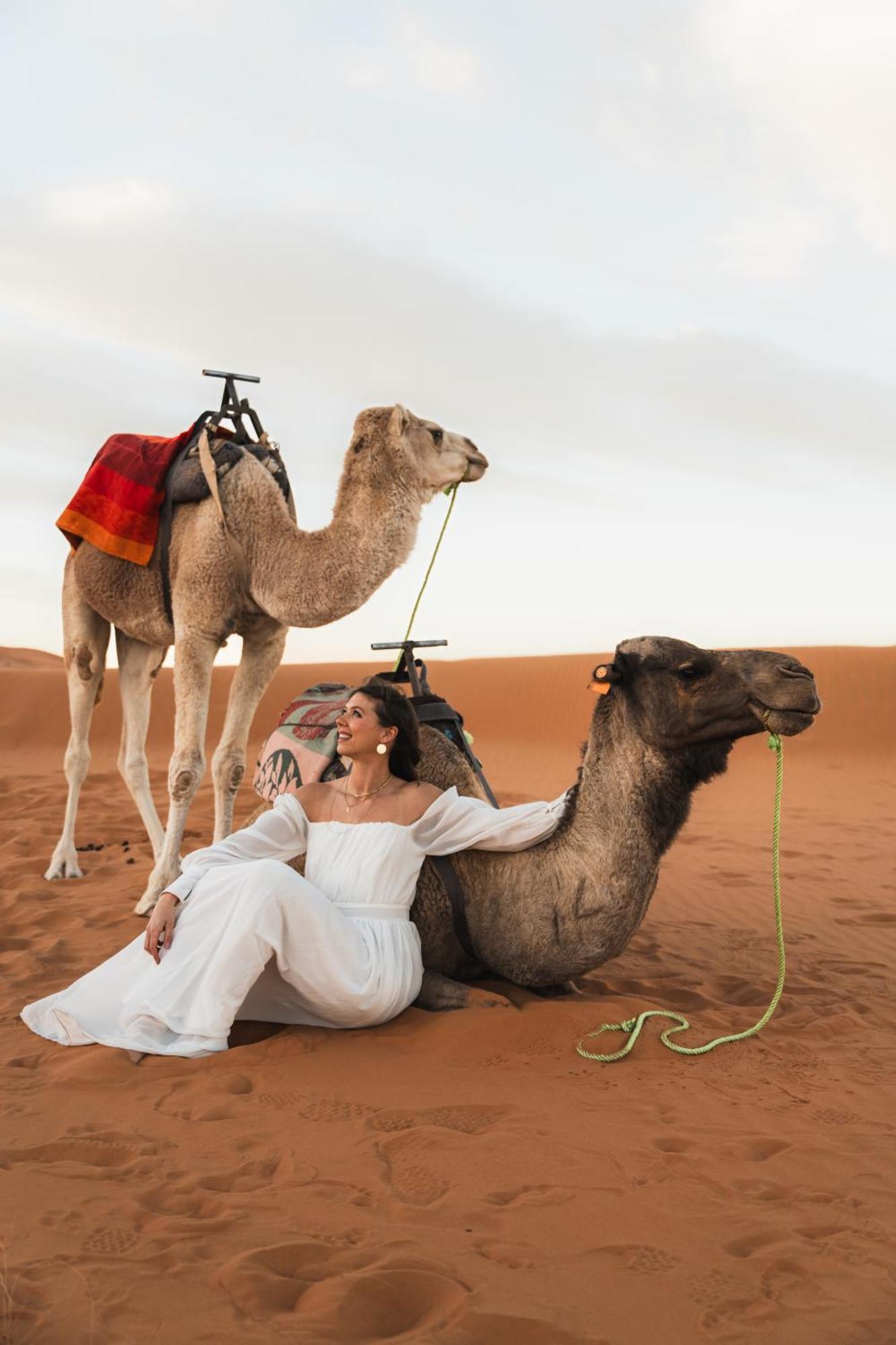 Hotel Royal Luxury Camp à Merzouga Extérieur photo